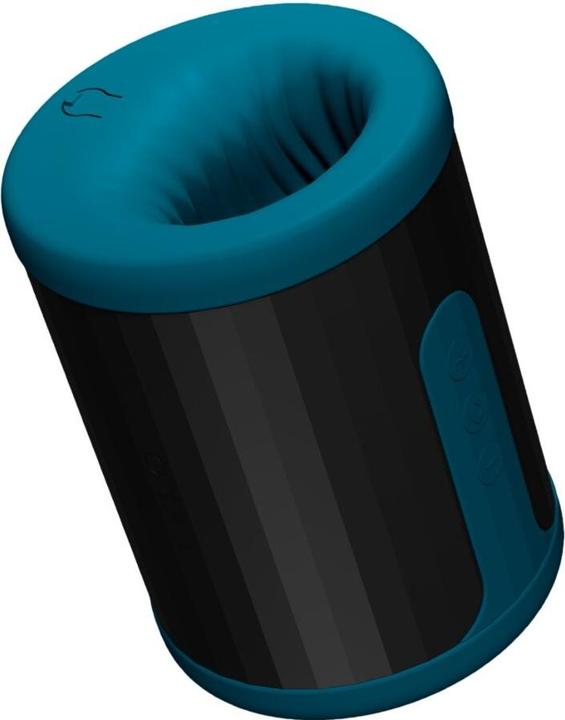Image du produit LELO F2S