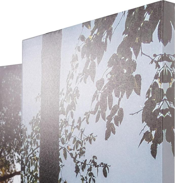 Actual product image Mendler Photo Paravent with Sound Insulation HWC-L55, Privacy Screen, 180x162cm Waldsee