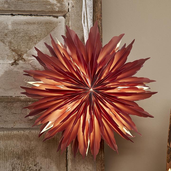 Image du produit Star Trading Étoile en papier Dis