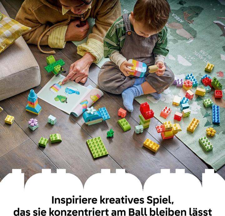 Productafbeelding LEGO Kleurrijke creatieve doos (10479)