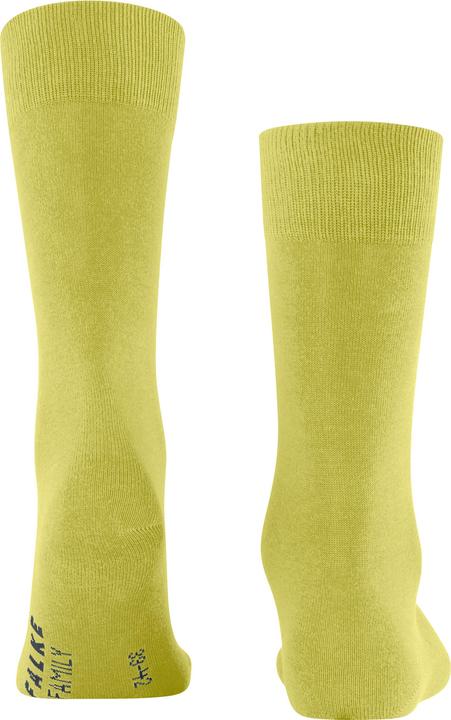 Actual product image Falke Family (Single pack, 43 - 46)