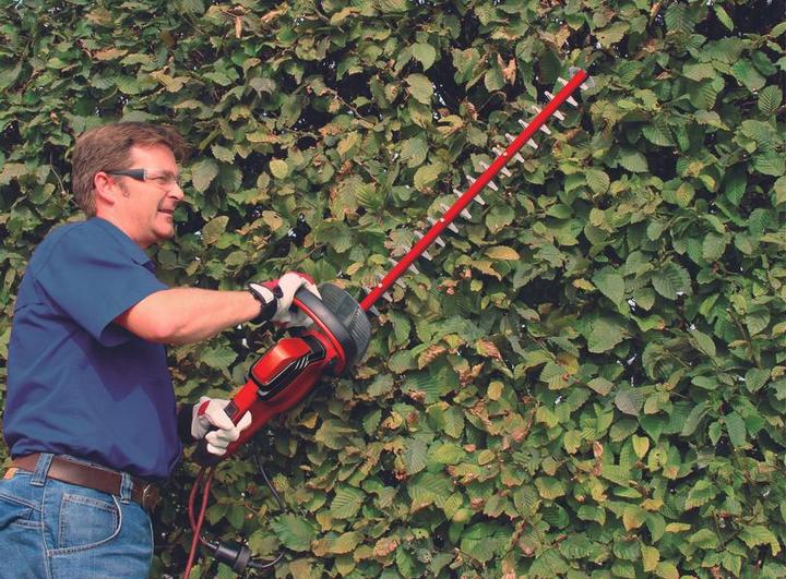 Actual product image Einhell Gc-Eh 6055/1 (Electrical connection)