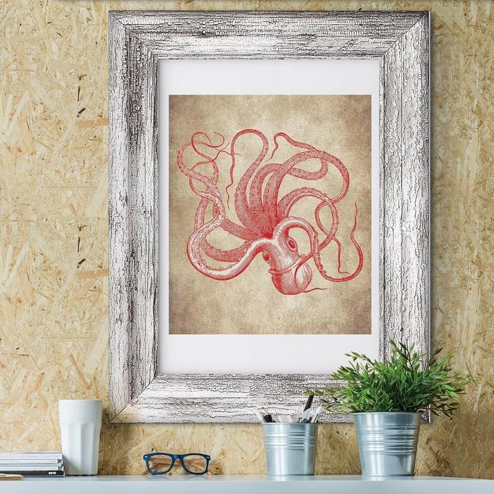 Actual product image Walplus Squid (30 x 40 cm)
