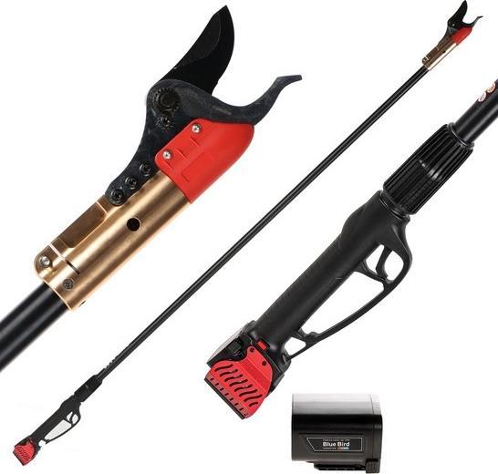 Blue Bird HPS 22160 Elektrische Astschere auf 160 cm Verlängerungsstange 216V 2.5Ah