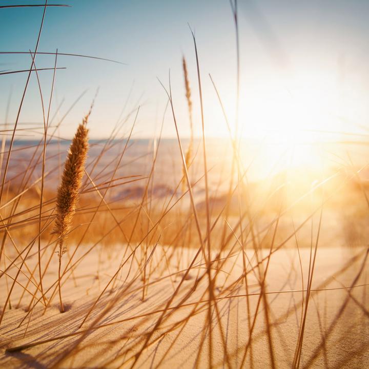 Produktbild Nordsee/Northern Sea 2026 (30 x 30 cm, Weicher Einband, Deutsch, Spanisch, Französisch, Tschechisch, Polnisch, Niederländisch, Italienisch, Englisch)