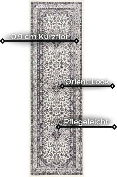 Immagine prodotto Hanse Home Parun Tabriz (250 x 80 cm)