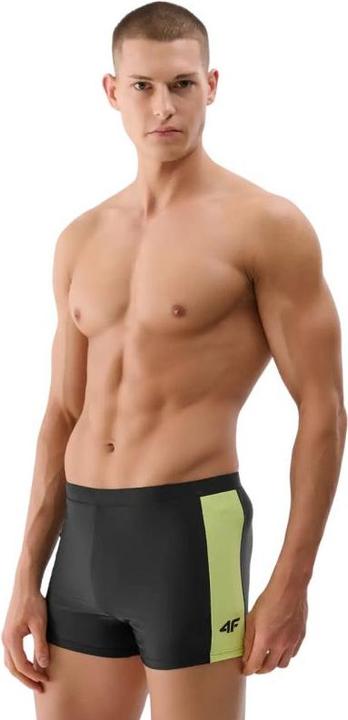 Image du produit 4F Herren-Badeshorts (S)