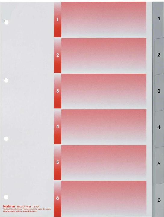 Produktbild Kolma Register A4 strong 1-6 6-teilig grau