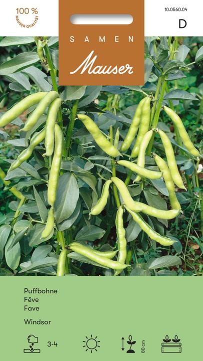 Actual product image Samen Mauser Windsor Broad Bean (Vegetable seeds)
