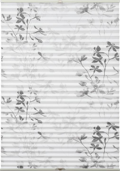 Gardinia Bella (40 x 130 cm)