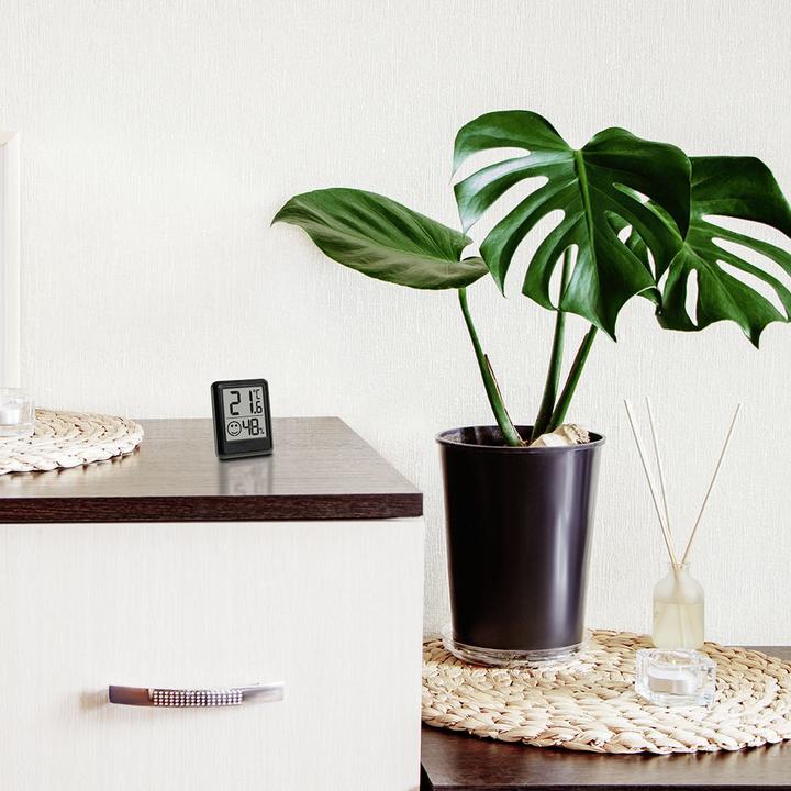 Actual product image TFA Thermo-hygrometer