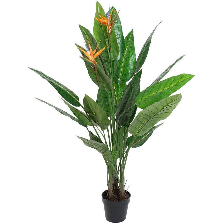 DKD Home Decor, Pianta artificiale, Decorative Plant PVC Plastic 100 x 100 x 145 cm (145 cm)