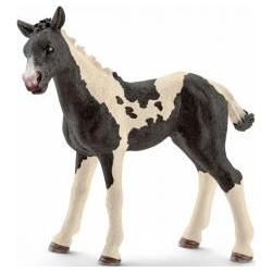 Schleich Pinto Fohlen 13803