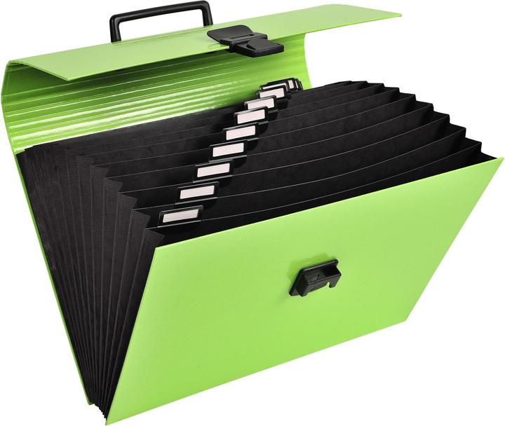 Image du produit Exacompta Fardes à compartiments (A4, 32x)