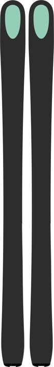 Actual product image Kästle Ski Kastle FX95 2019 (189 cm, Without binding)