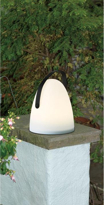 Actual product image EGLO Decoration Light