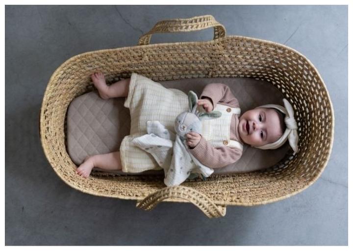 Actual product image Taf Toys Rylee the hare
