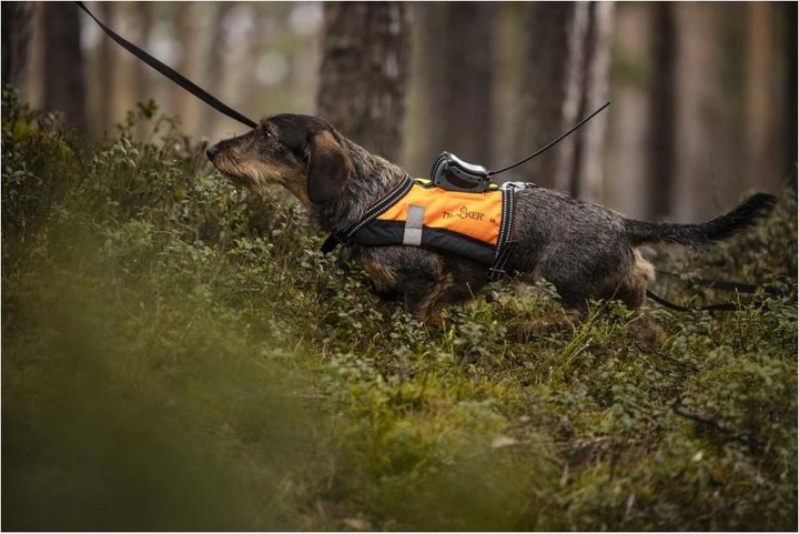 Produktbild Tracker Hundeortungsgerät G10i
