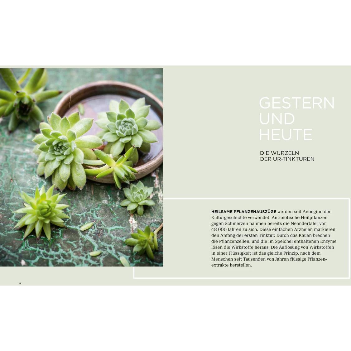 Thumbnail - Vergessene Heiltinkturen, Ratgeber von Gabriela Nedoma
