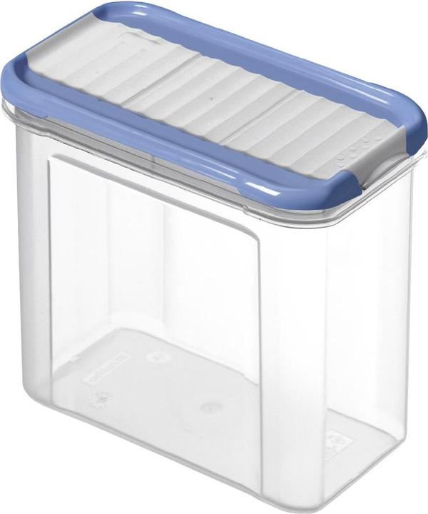 Actual product image Rotho Domino (1 l)