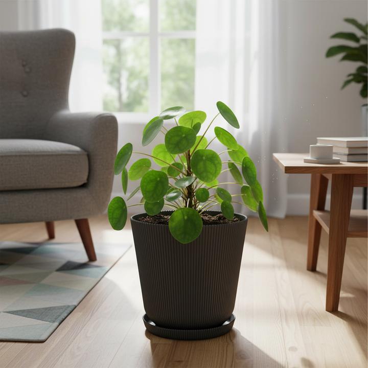 Produktbild Relaxdays Blumentopf Set (17 x 20 cm)