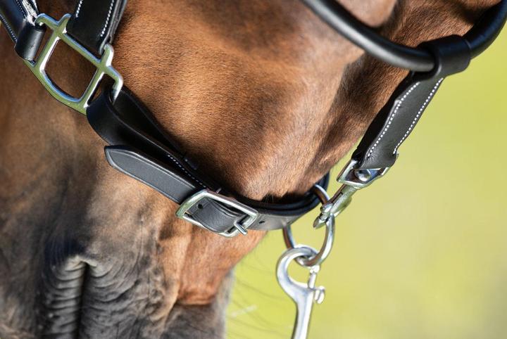 Immagine prodotto HFI Master Cavezza in cuoio