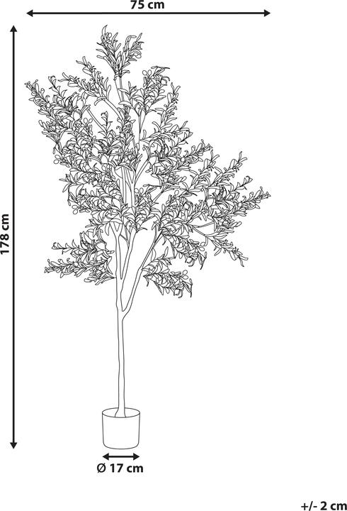 Actual product image Beliani Olive Tree (178 cm)