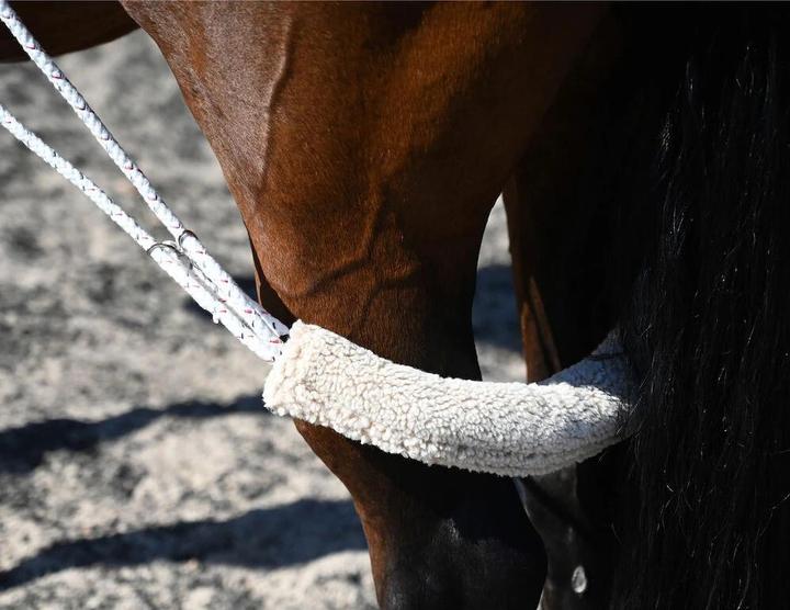 Actual product image Kincade Horse surfaix