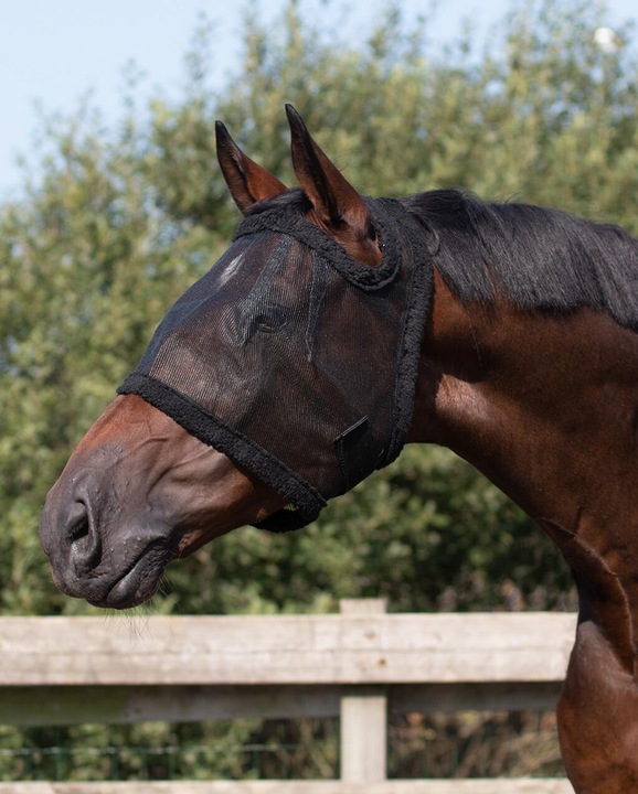 Actual product image Qhp anti-fly mask
