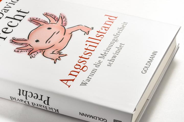 Actual product image Angststillstand (German, Richard David Precht, 2025)