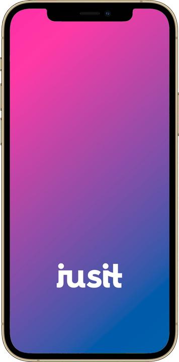 Produktbild jusit iPhone 12 Pro (128 GB, Gold, 6.10", 12 Mpx, B / Sehr gut)