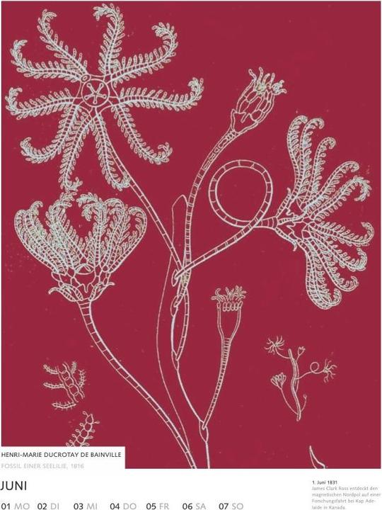 Produktbild mare Kulturkalender 2026 (24 x 32 cm)