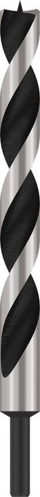 Actual product image Bosch Professional Zubehör PRO Wood Wood twist drill, 20 x 190 x 250 mm (10 mm)