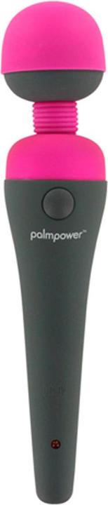 Actual product image Palmpower Massager