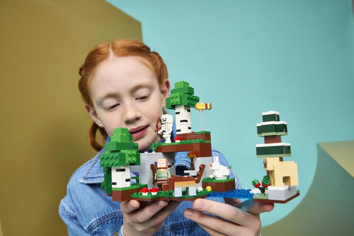 Produktbild LEGO Erstes Abenteuer in der Nacht (21593, LEGO Minecraft)
