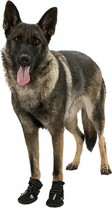 Image du produit Trixie Walker Active (L, Chaussures pour chien)