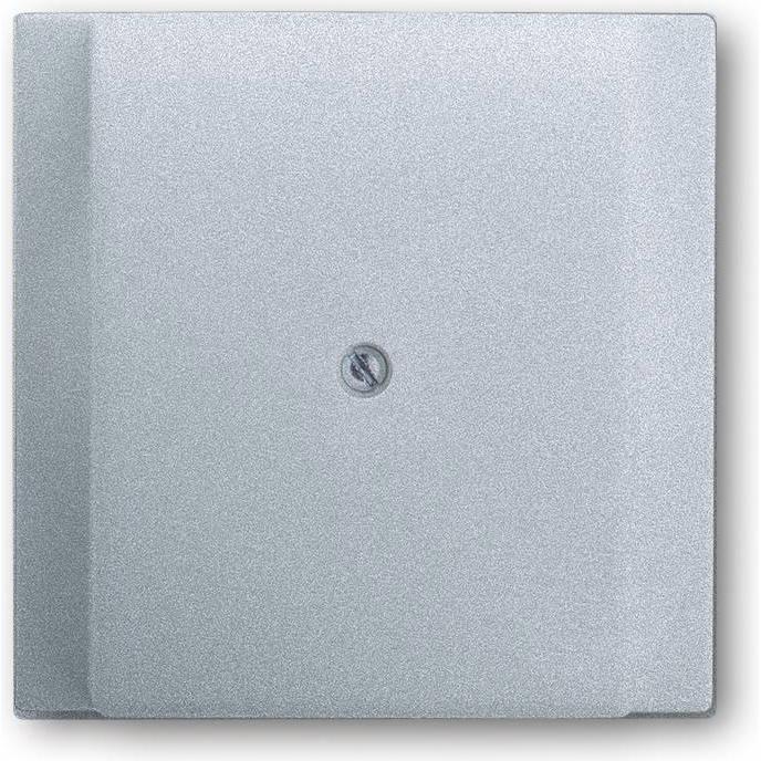 Busch-Jaeger, Zubehör Schalterprogramm, Zentralscheibe mit Tragring 2CKA001753A0047