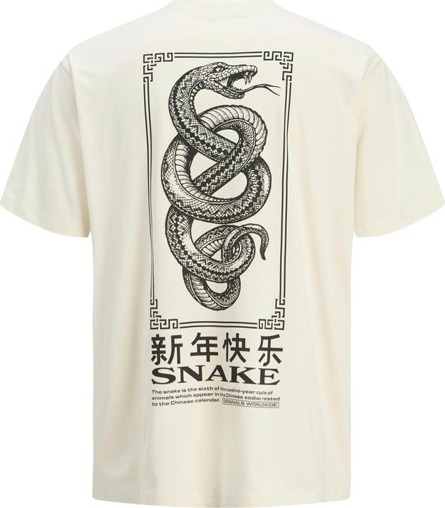 Actual product image Jack & Jones Jorsnake Tee Ss Crew Neck Tg Ln (XL)