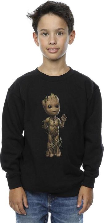 Produktbild I Am Groot Wave Pose Sweatshirt Jungen (152, 158)