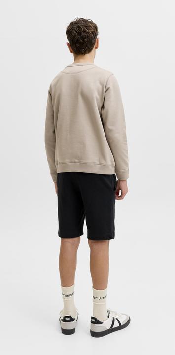 Produktbild Jack & Jones Junior Pullover NORREBRO Sweatshirt (128)