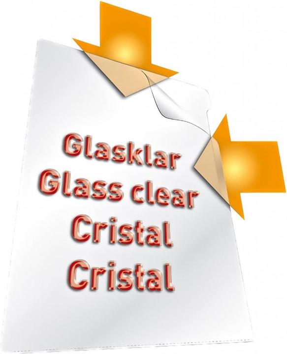 Immagine prodotto Durable A4 Prolypropylene View Sleeve (A4, 100x)