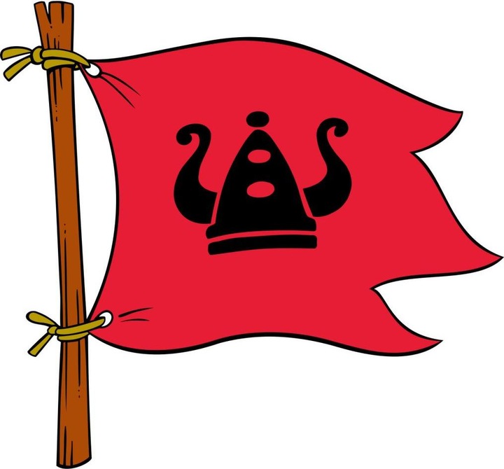 Actual product image Wickie Viking flag (40 x 37 cm)