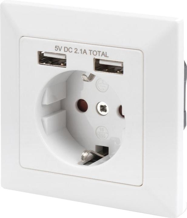 Actual product image Digitus Socket with 2 USB ports