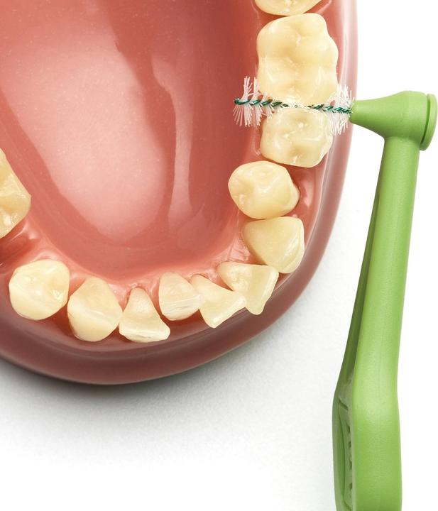 Actual product image TePe Interdental brushes Angle ISO 5 (6 x, 0.80 mm)