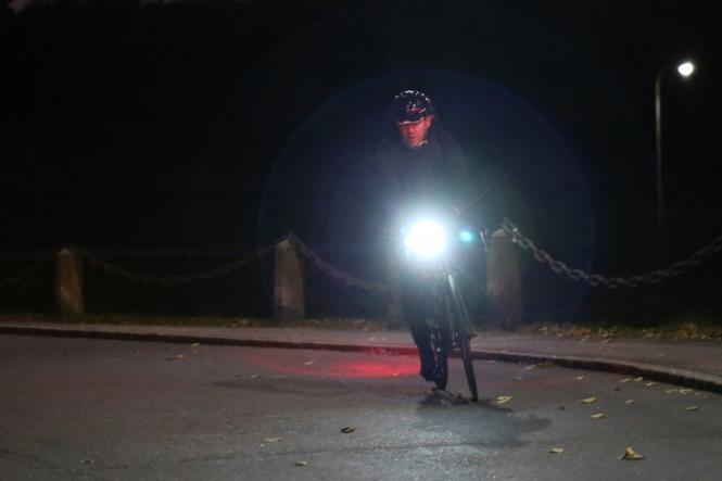 Actual product image Bookman Curve (80 lm, 37 lm)