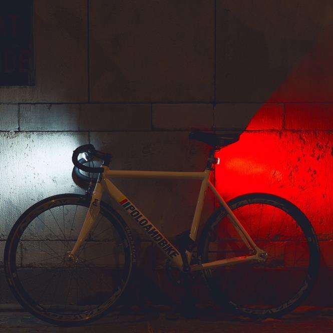 Actual product image Bookman Curve (80 lm, 37 lm)