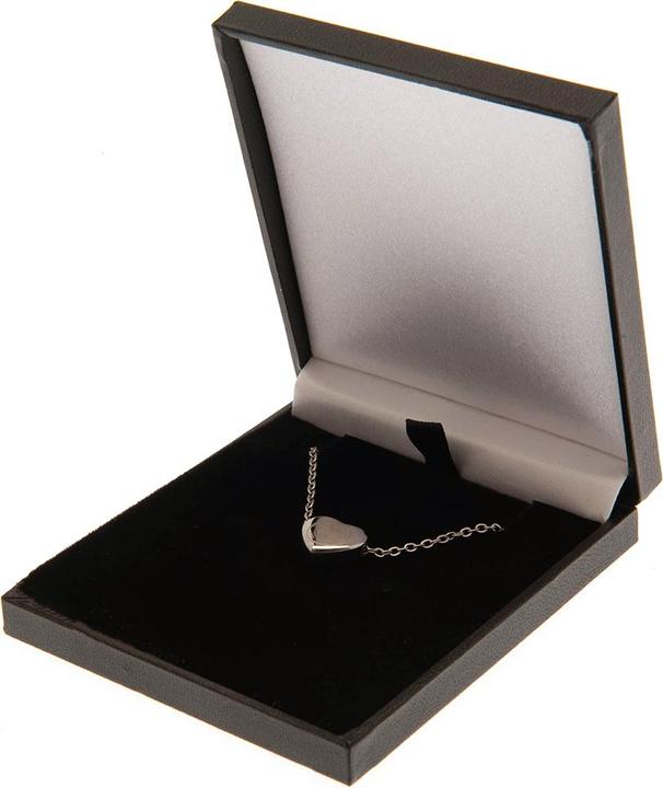 Actual product image Celtic FC Heart Stainless Steel Necklace (100% synthetic material)