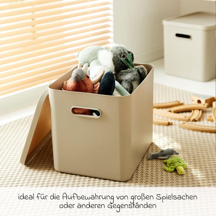 Produktbild Rotho Babydesign Spielzeugbox KAYO L Cappuccino