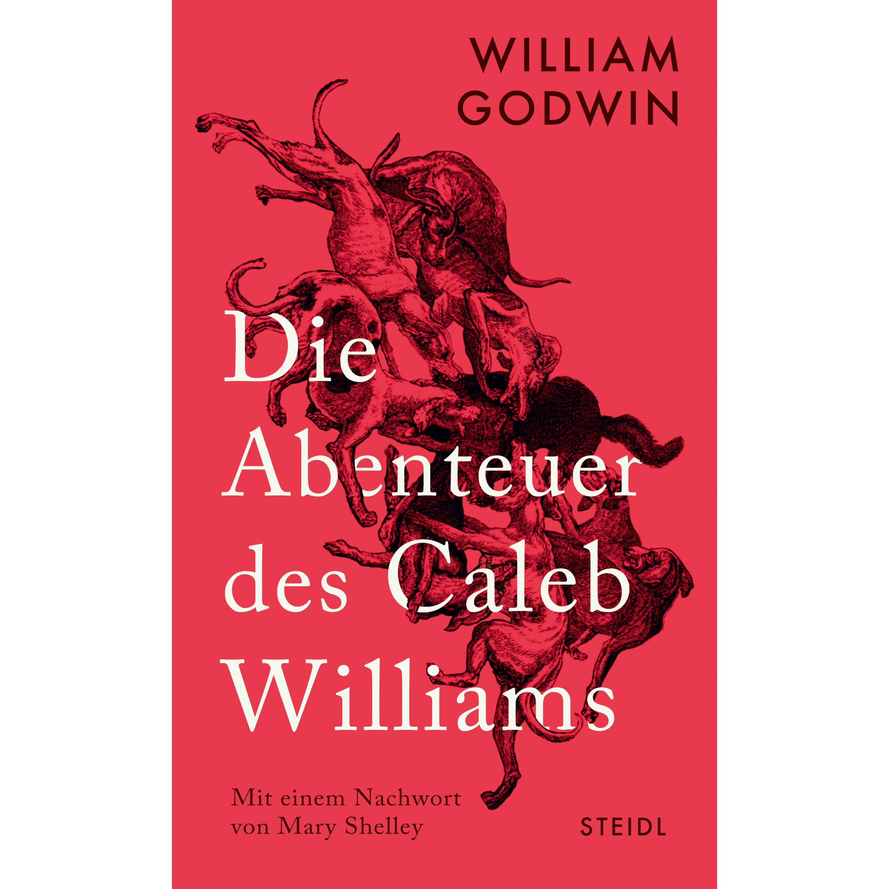 Die Abenteuer des Caleb Williams, Belletristik von William Godwin, Alexander Pechmann, Mary Shelley