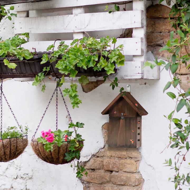 Image du produit Relaxdays Maison des coccinelles (Coccinelles)